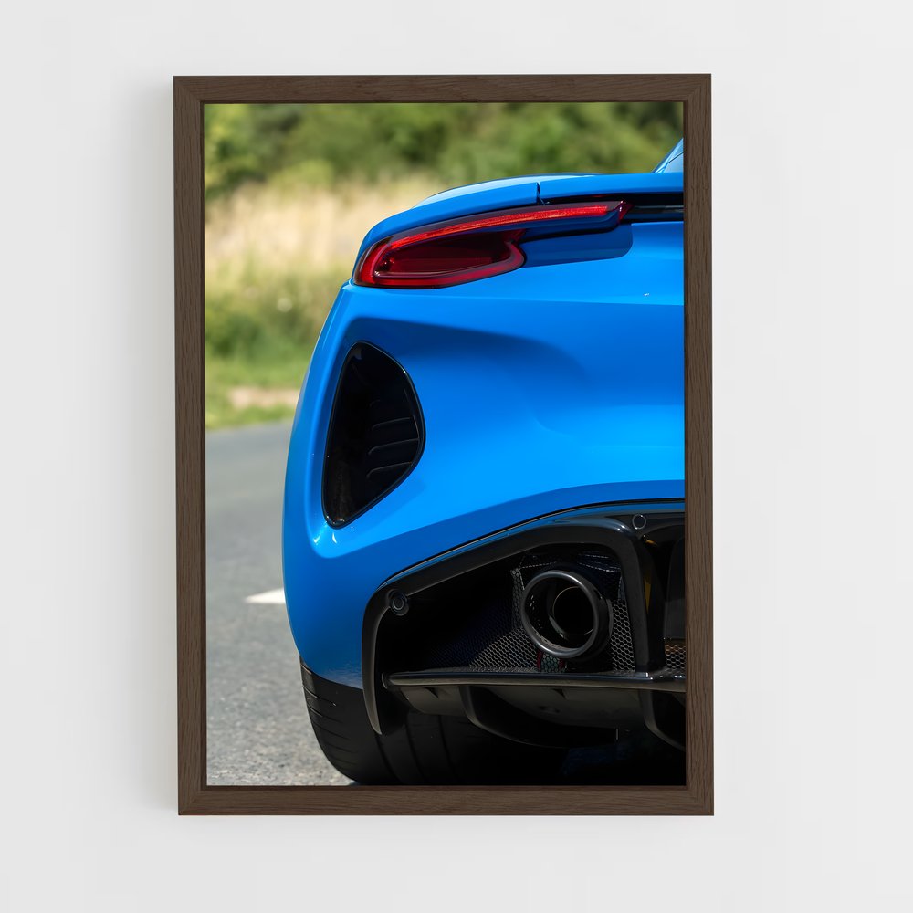 Poster Emira D'un – affiche Lotus (vue 5)